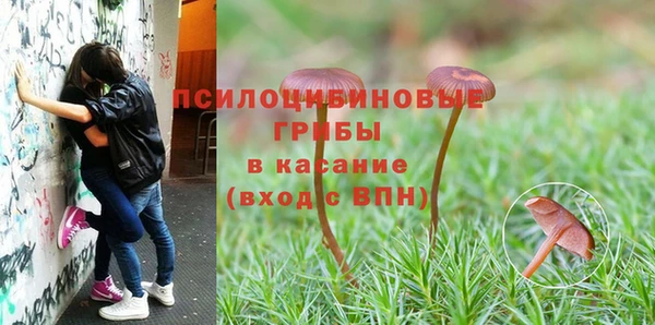 mdma Верхний Тагил